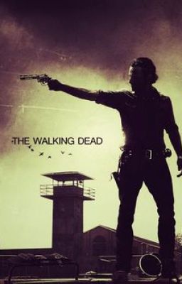 The Time I Met Him - Rick Grimes x Reader -