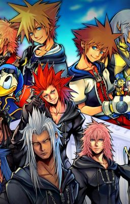 The Time Traveler (Kingdom Hearts Characters x Reader)