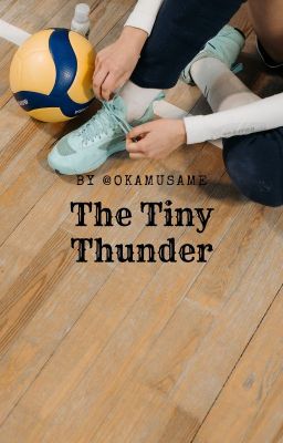 The Tiny Thunder (Haikyuu!! X OCish Reader) {DISCONTINUED}