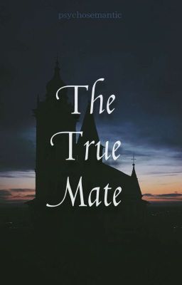 The True Mate (Aro/OC)