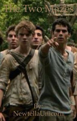 The Two Mazes (The Maze Runner)