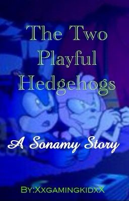 The Two Playful Hedgehogs