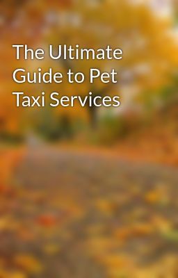 The Ultimate Guide to Pet Taxi Services