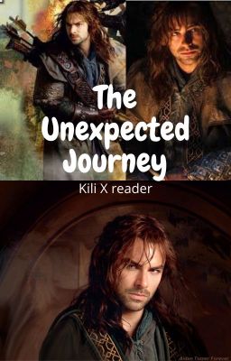 The Unexpected Journey (Kili x reader) - Completed