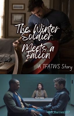 The Winter Soldier Meets a Falcon - A TFATWS Story