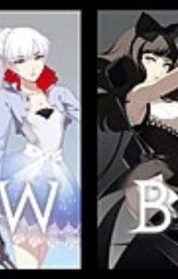 the wolf faunus and schnee heiress