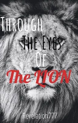 Through The Eyes Of The Lion