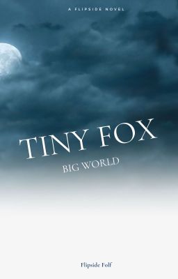 Tiny Fox In a Big World