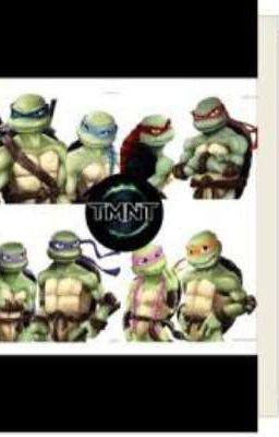 TMNT Ships That I ship