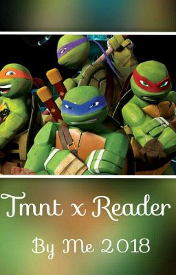 Tmnt X Reader (Insert)