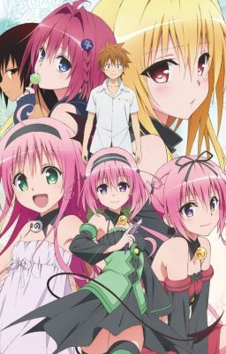 To Love Ru x Male Reader (Harem)