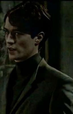 Tom Riddle x y/n