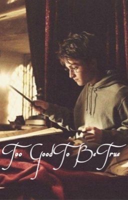 too good to be true || harry potter x reader