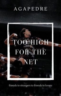 Too High For The Net