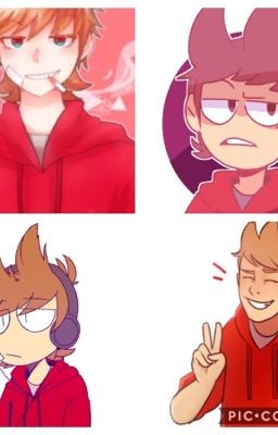 Tord x reader