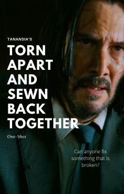 Torn Apart And Sewn Back Together (Female Character x John Wick One-Shot)