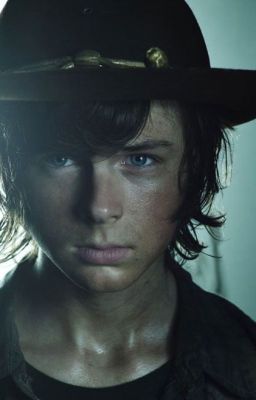 Torn Apart - The Walking Dead Fanfiction - Carl Grimes x Male OC