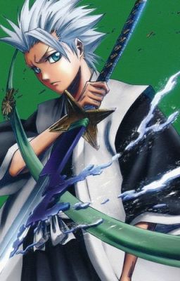 Toshiro Hitsugaya x reader