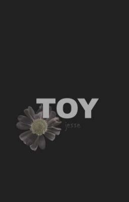 Toy