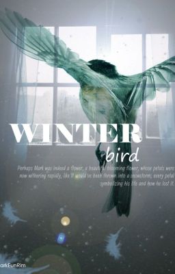 [Trans-fic][MarkJin] Winter Bird