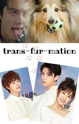 trans-fur-mation