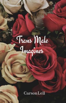 Trans-Male Imagines
