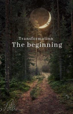 Transformation, the beginning