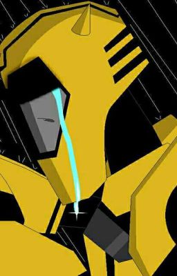 Transformers animated Book 1: Regret          