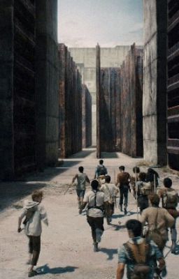 Trenda • The Maze Runner