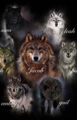 Read Stories Twilight Wolf Pack Preferences - TeenFic.Net