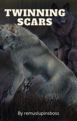 Twinning Scars - Remus Lupin x Reader [Book 1]