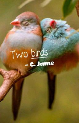 Two Birds