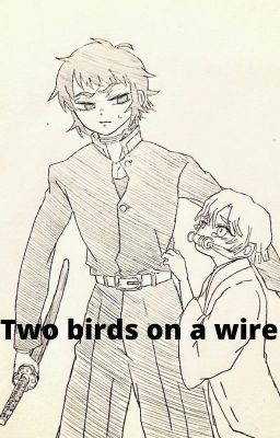 two birds on a wire(sibling kaigaku and zenitsu)