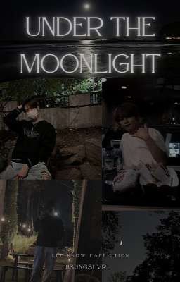 Under The Moonlight || Lee Know x Reader ff