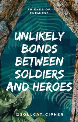 Unlikely Bonds Between Soldiers and Heroes  *AvengersxDSMP*