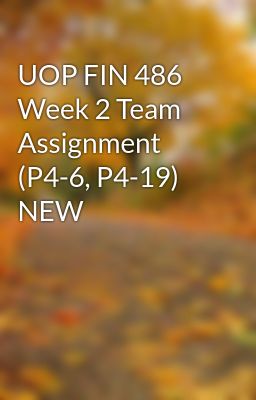 UOP FIN 486 Week 2 Team Assignment (P4-6, P4-19) NEW