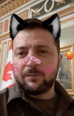 Volodymyr Zelenskyy x Reader