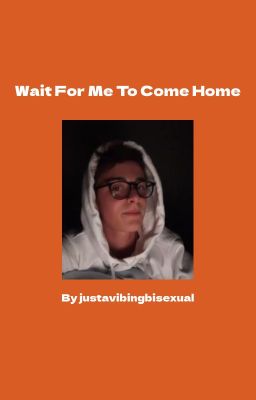 Wait For Me to Come Home (Noah Schnapp x Gay Male OC Story)