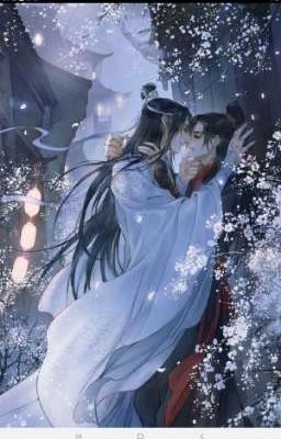 WangXian Forever 5