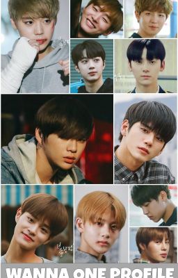 Wanna One Profile