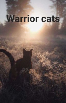 Warrior cats - Adoptables