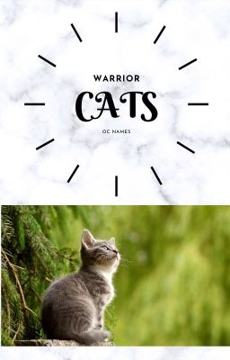 Warrior Cats Name Generator