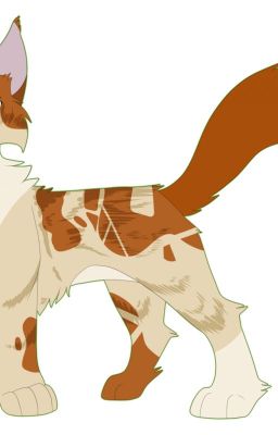 warrior cats rp