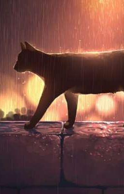 Warrior cats RP! (Always Open!)