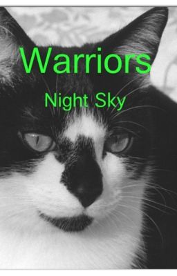 Warriors Night Sky