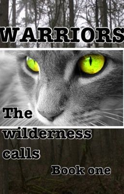 Warriors: the wilderness calls