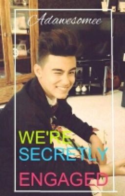 We're Secretly Engaged [Bailey May Fanfict]