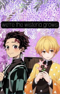 Were the Wisteria grows (zenitsu x tanjiro x reader)