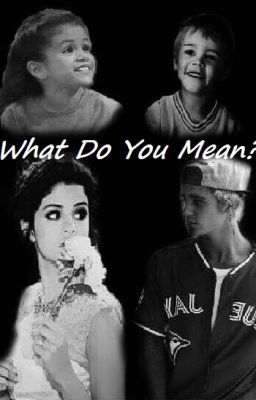 What Do You Mean?