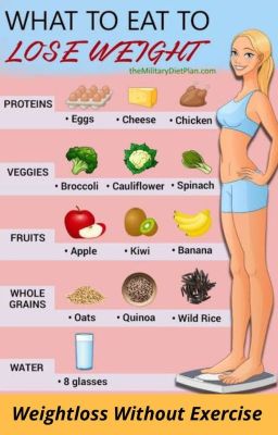 What is the best weight loss diet